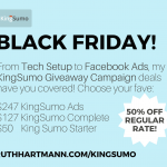 Black Friday Offer - Facebook Ads for KingSumo Giveaway Campaigns!